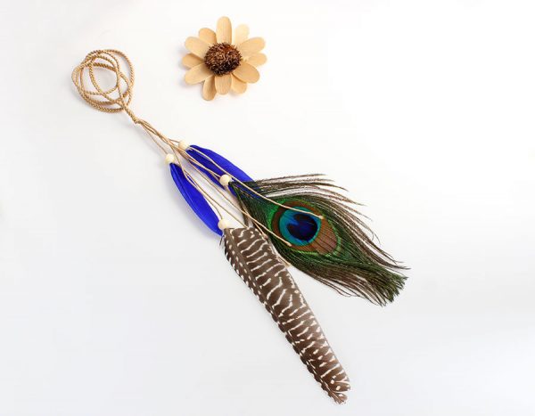 peacock hair accessories